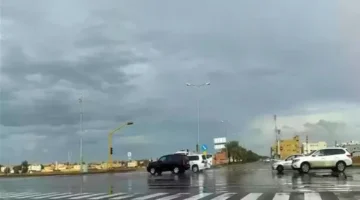 تحذير الأرصاد.. موجة برد شديدة تضرب البلاد بداية من الأسبوع المقبل